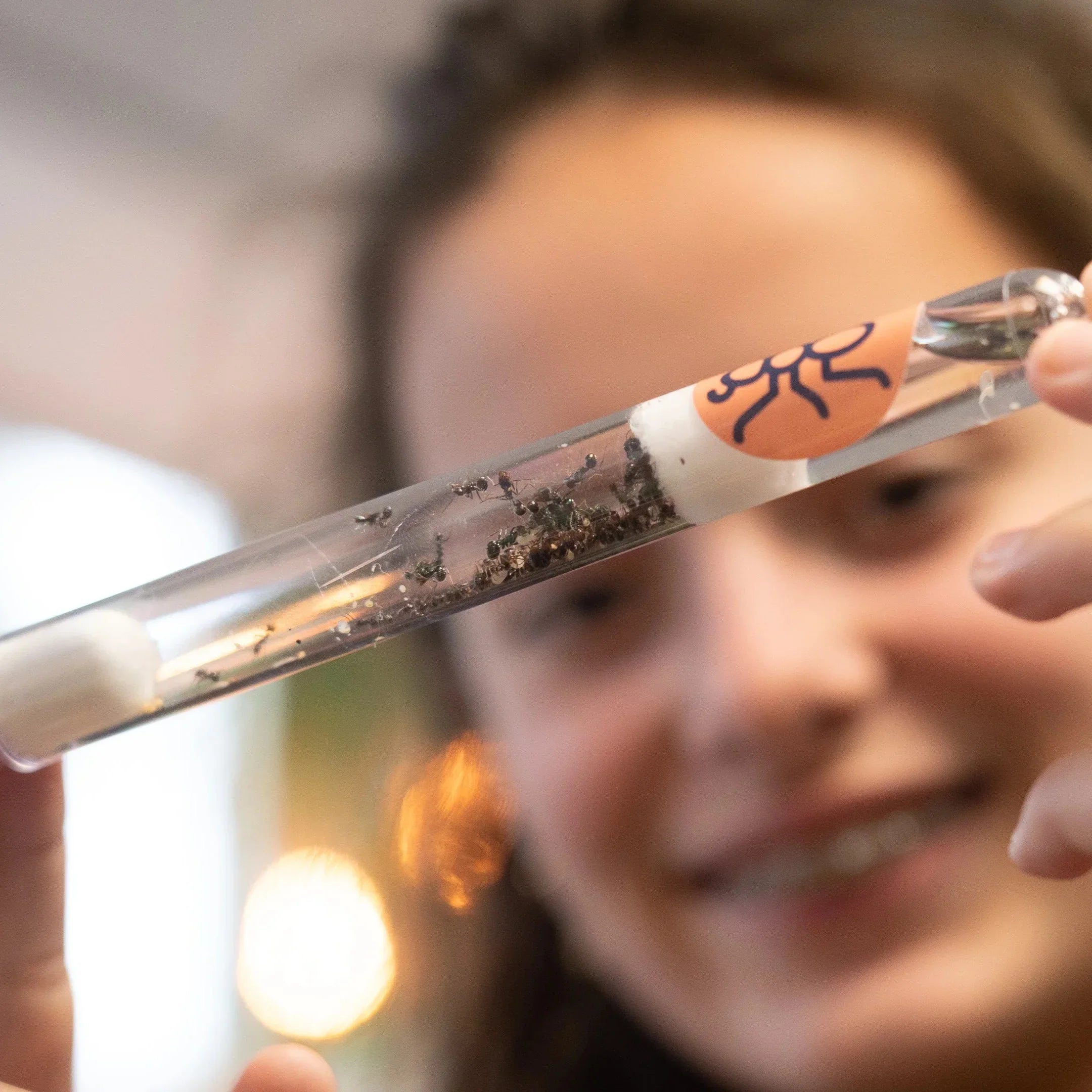 How to Set Up a Test Tube for Your Queen Ant