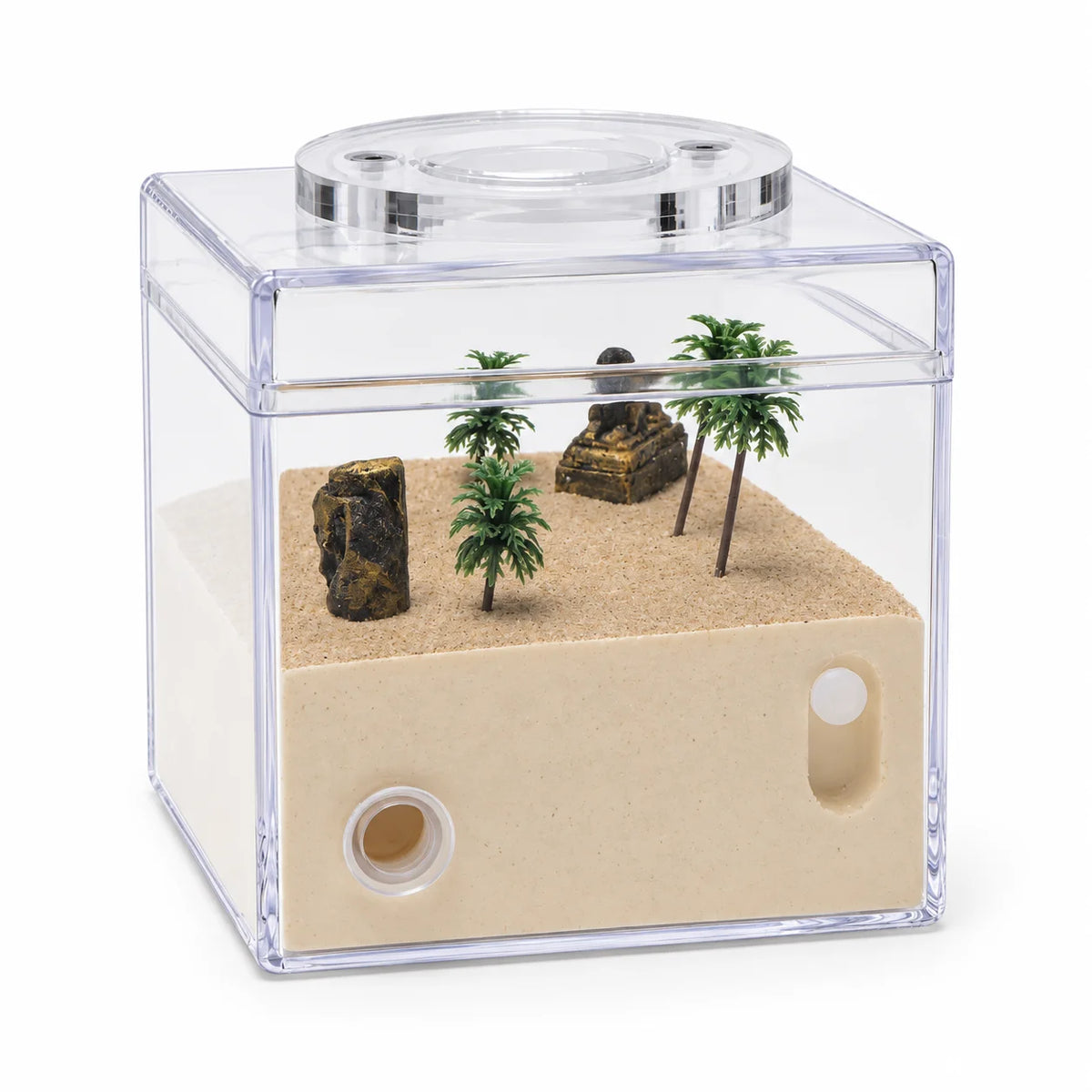 All-In-One Small Gypsum Ant Nest - Egyptian Theme by Empire of Ants, back view