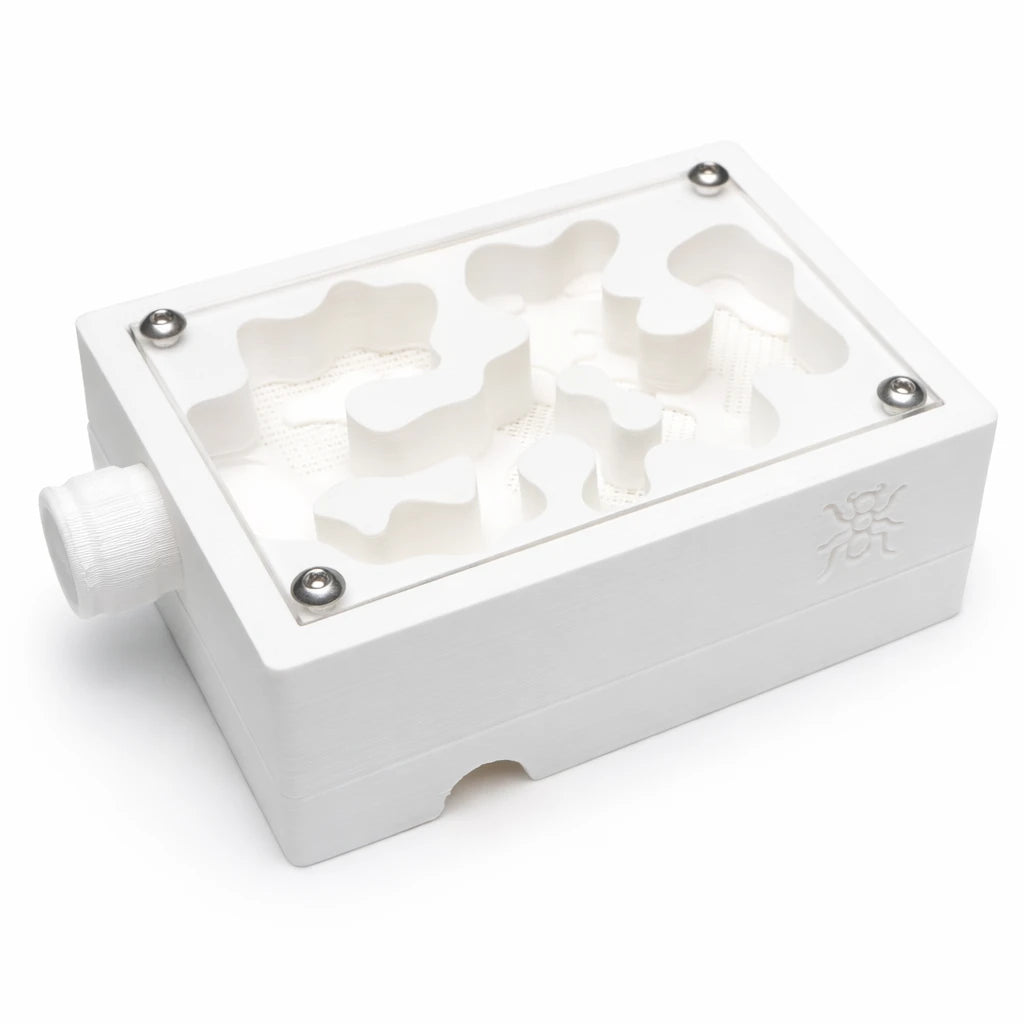 White Medium Mesh Nest formicarium with six winding mesh chambers visible through its acrylic lid and an embossed ant logo