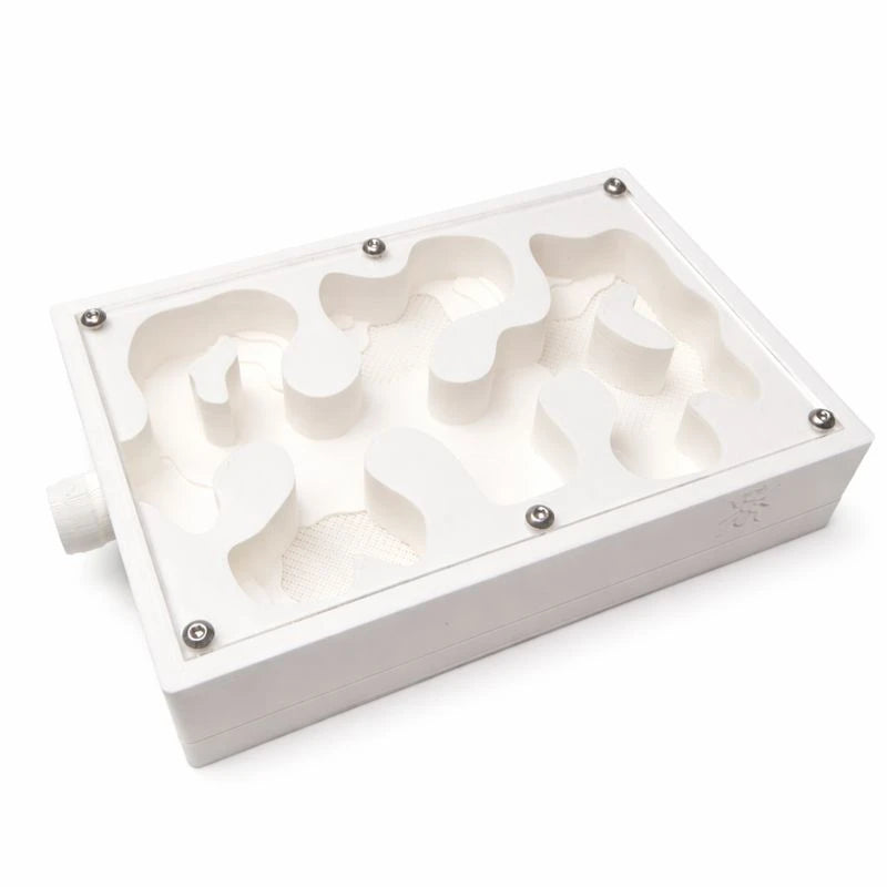 White Large Mesh Nest formicarium with five winding mesh-covered chambers visible through its acrylic lid
