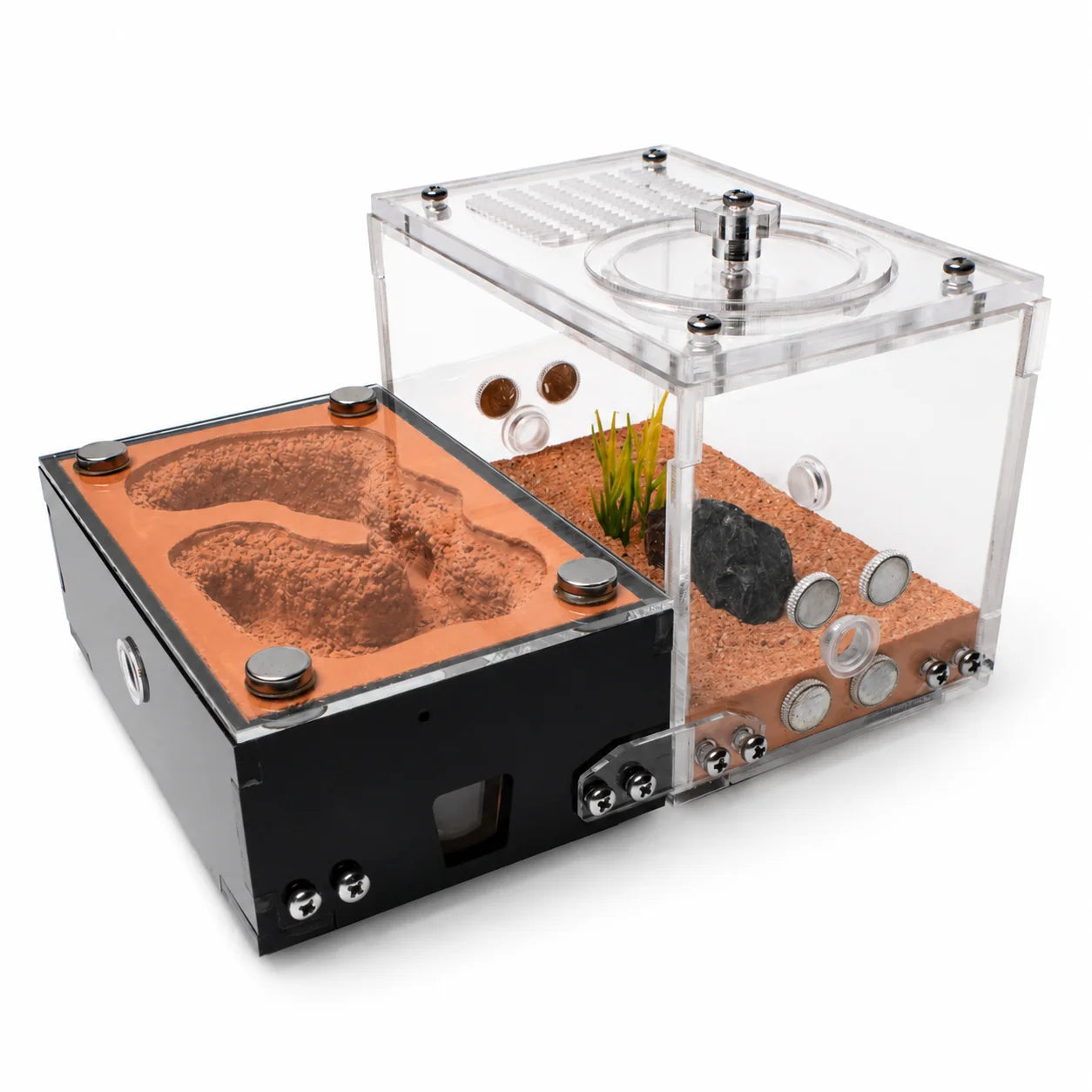 All-In-One Red Gypsum Ant Nest connected to its clear acrylic outworld with substrate, rock, and plant decor