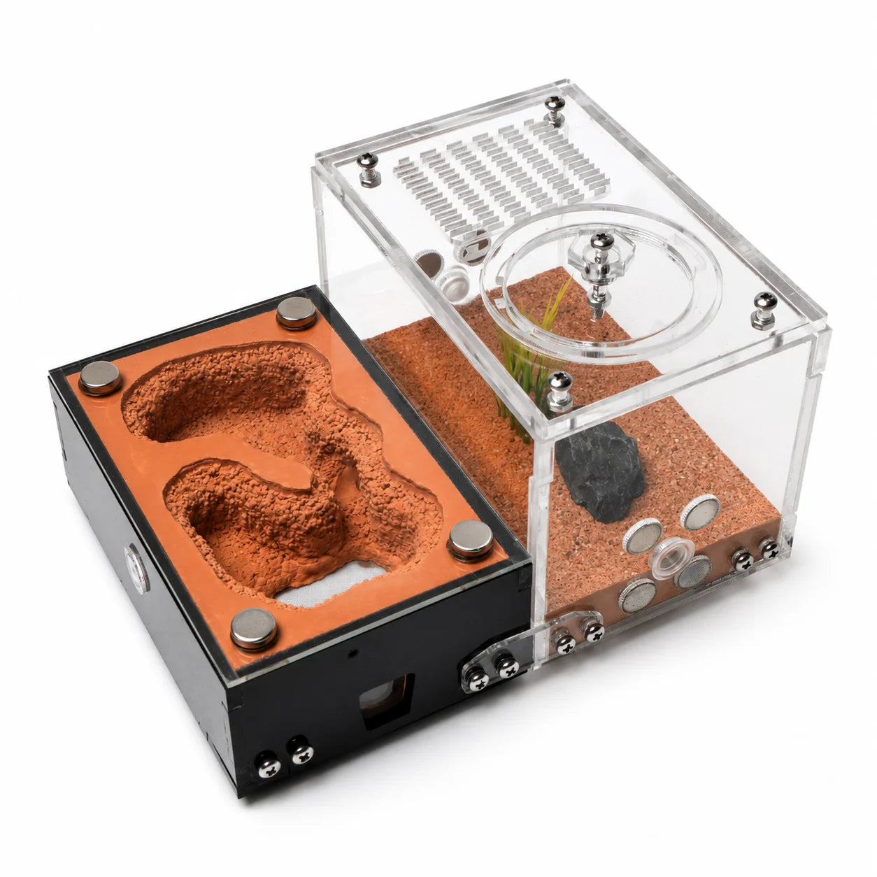 Angled view of the All-In-One Red Gypsum Ant Nest and integrated outworld, showing the magnetic connection points
