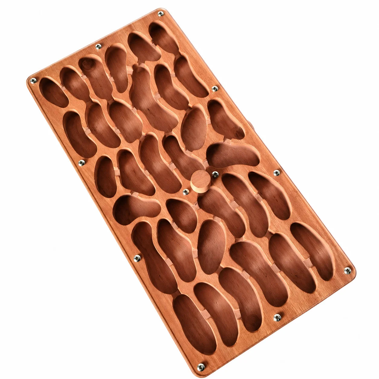 Large Wooden Ant Nest, angled view showing chamber depth
