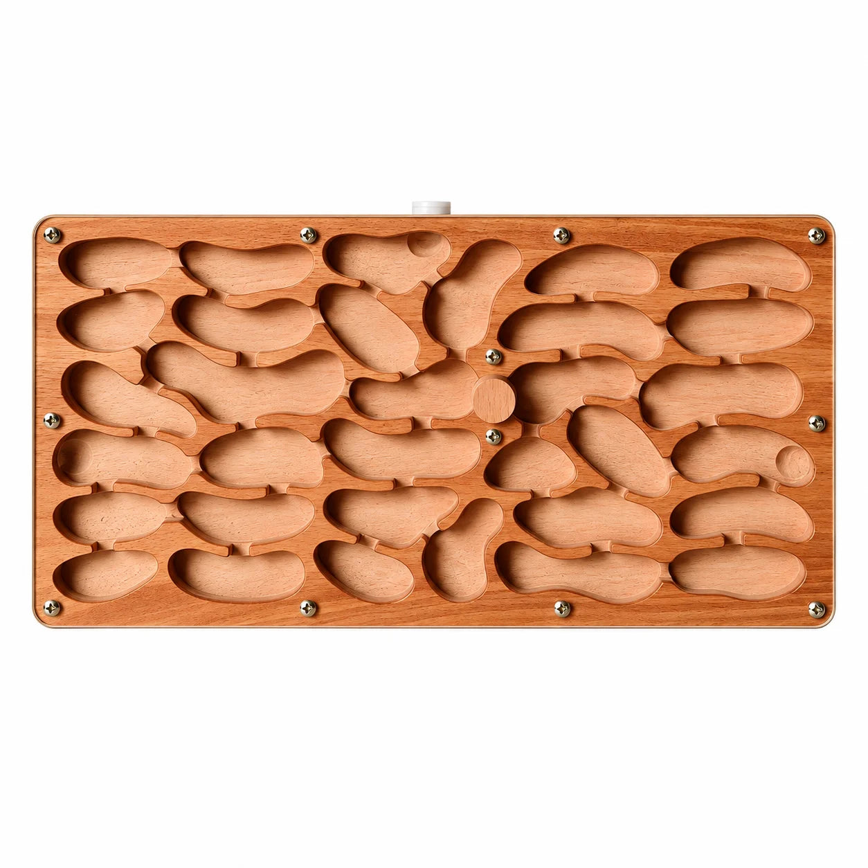 Large Wooden Ant Nest, top view, horizontal orientation