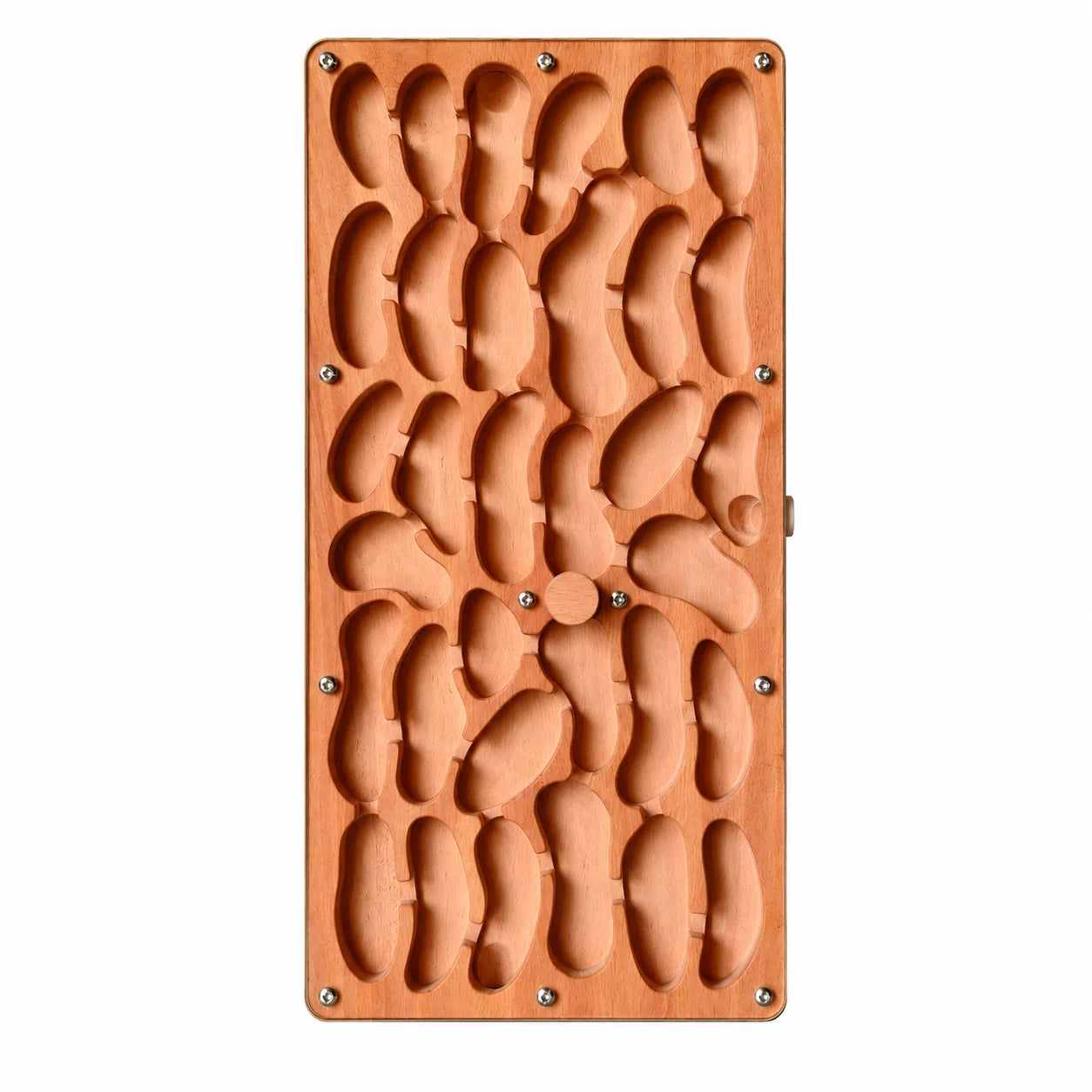 Large Wooden Ant Nest, top view, vertical orientation