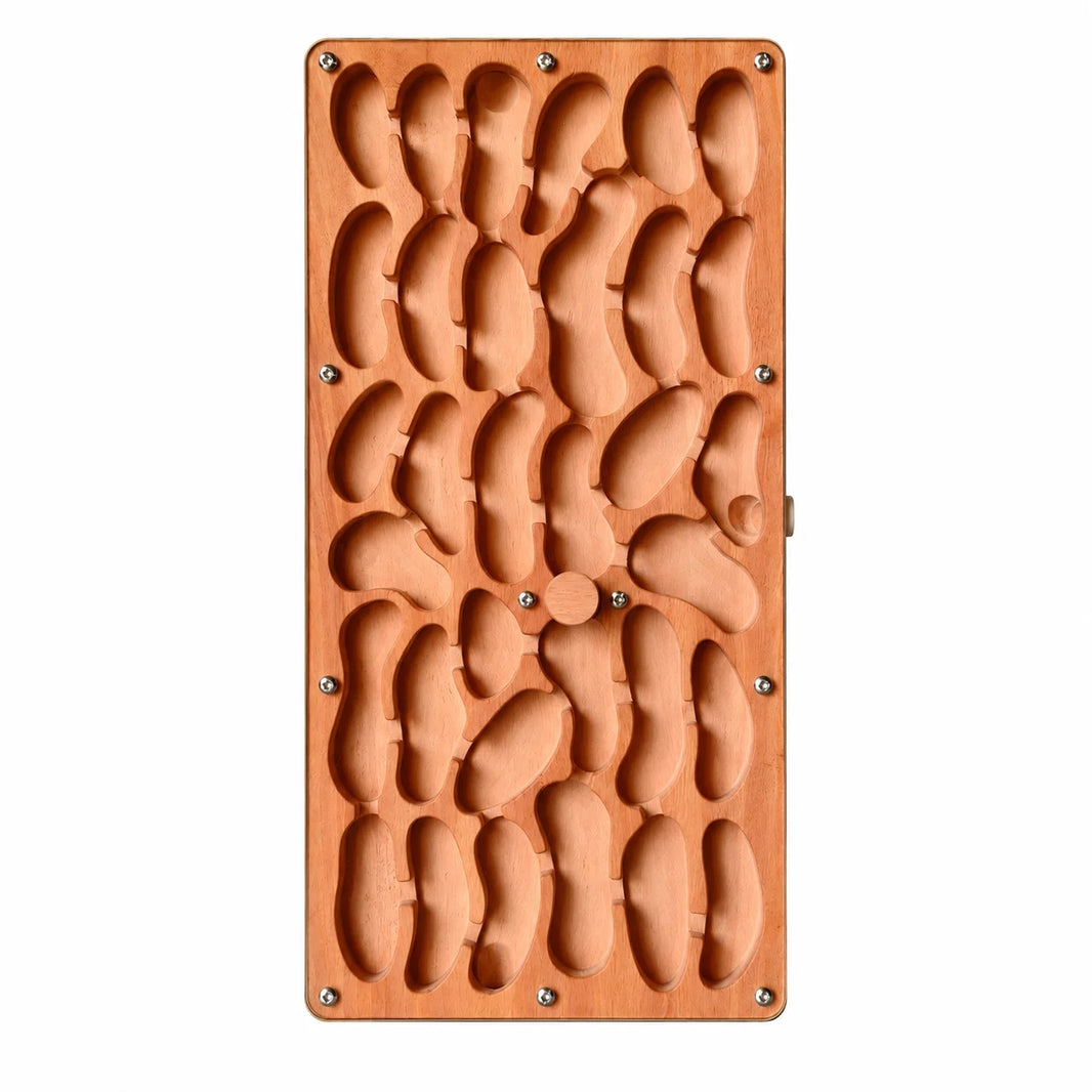 Large Wooden Ant Nest, top view, vertical orientation