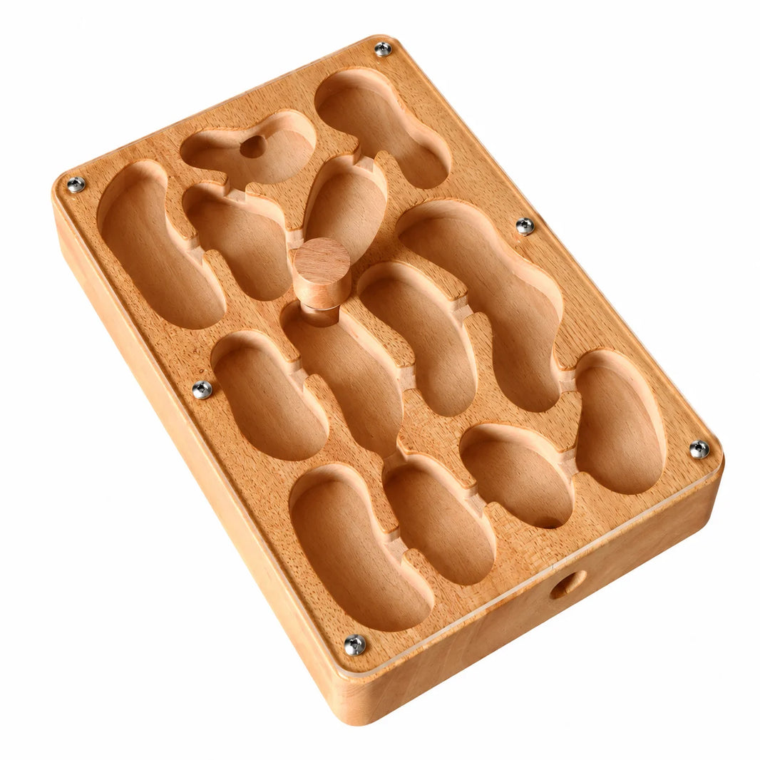 Medium Wooden Ant Nest, angled view showing chamber depth