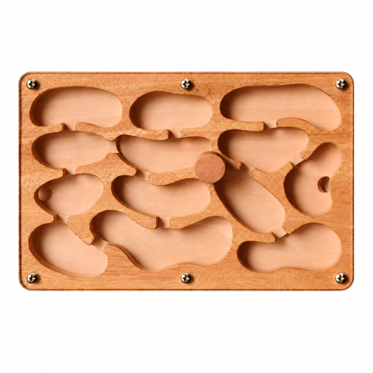 Medium Wooden Ant Nest, top view showing chamber layout