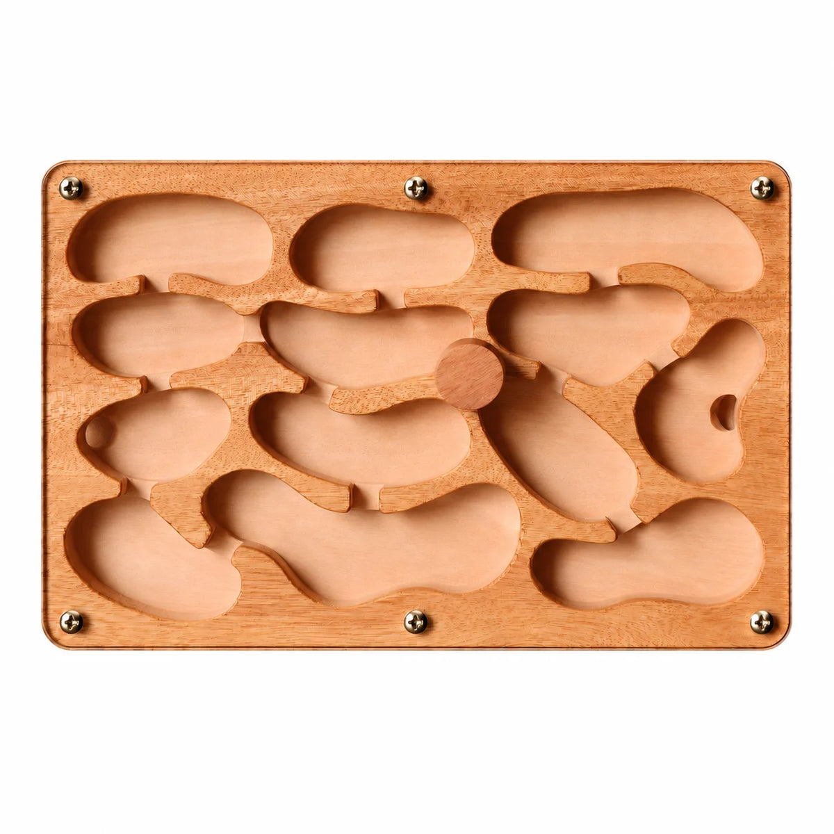 Medium Wooden Ant Nest, top view showing chamber layout