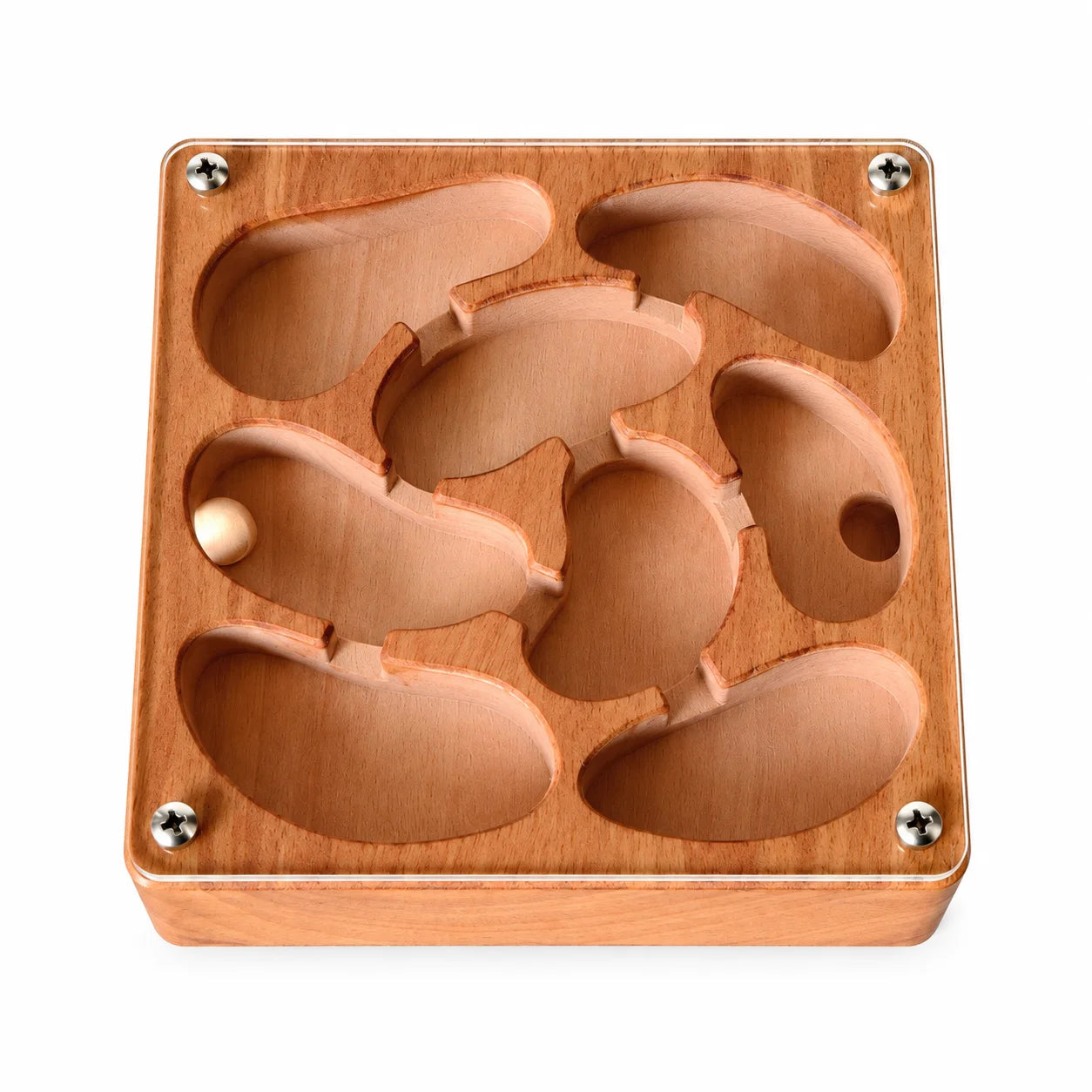Small Wooden Ant Nest, angled view showing chamber depth