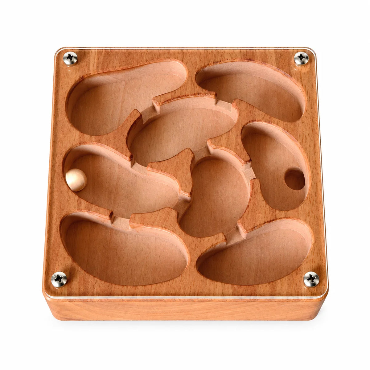 Small Wooden Ant Nest, angled view showing chamber depth