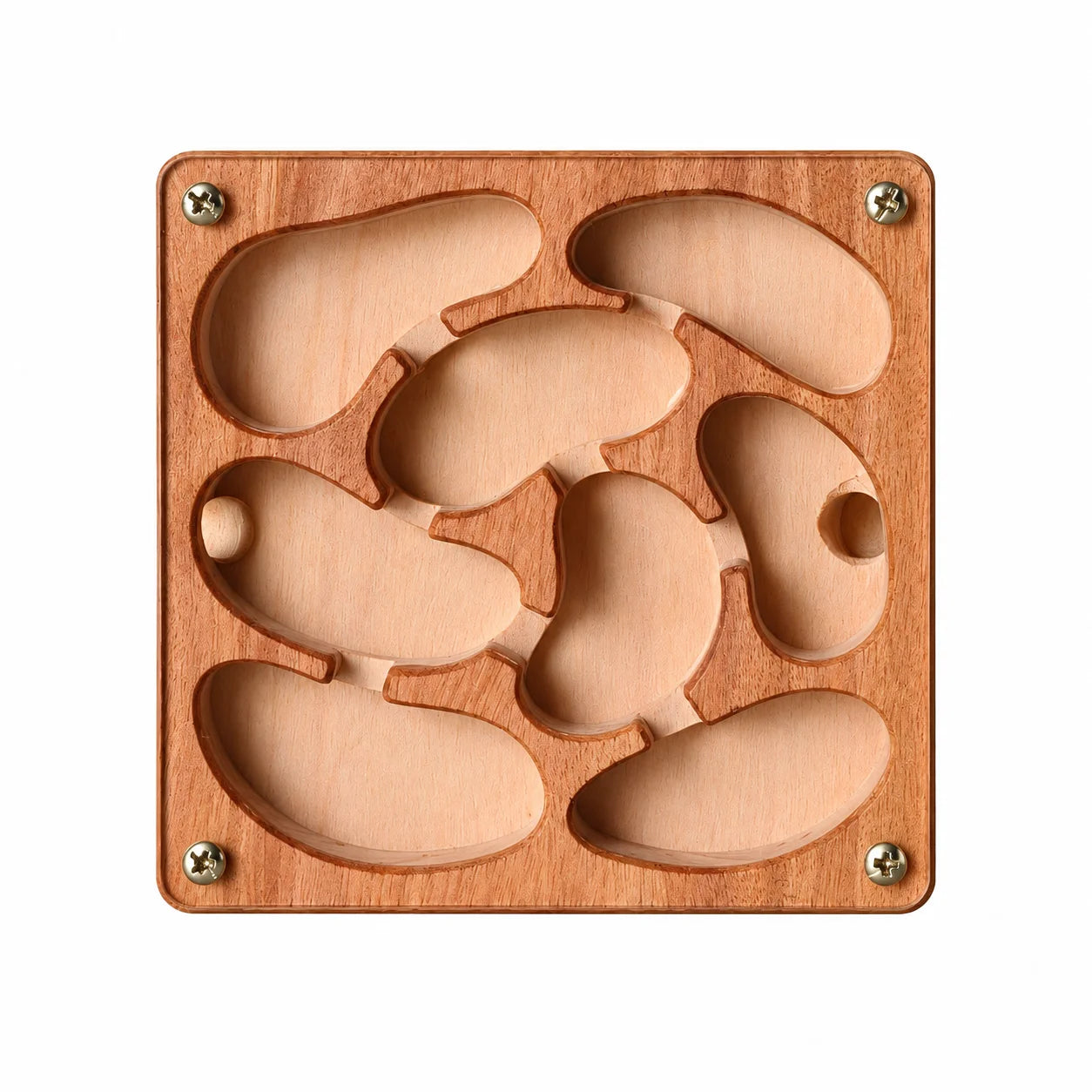 Small Wooden Ant Nest, top view showing chamber layout
