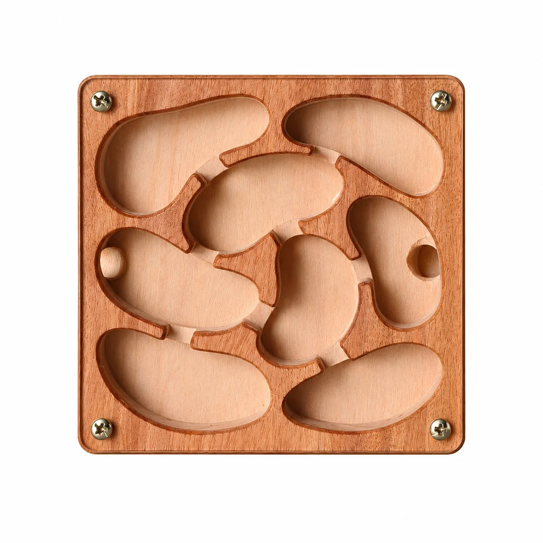 Small Wooden Ant Nest, top view showing chamber layout